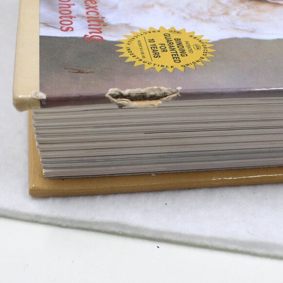 Book: The Labrador Retriever by Dorothy Howe - Picture 10 of 10